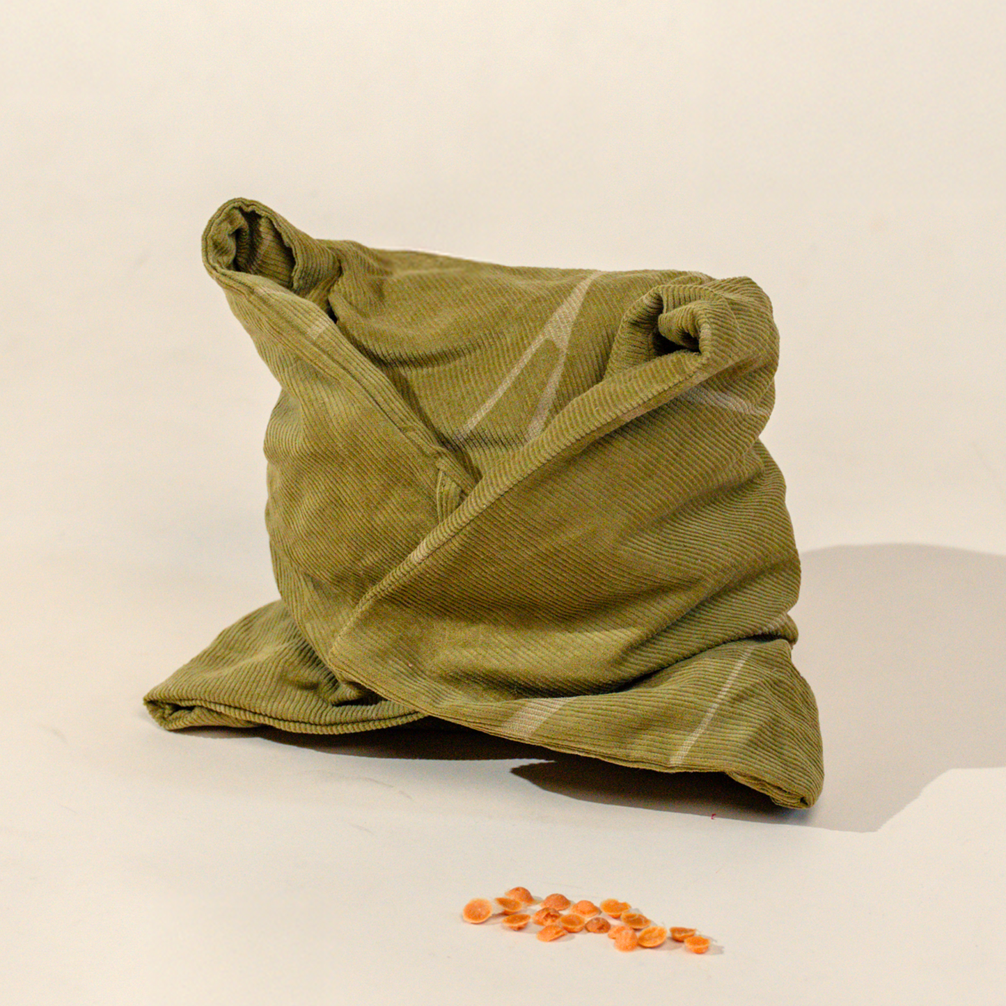 Glutinous Rice Chicken