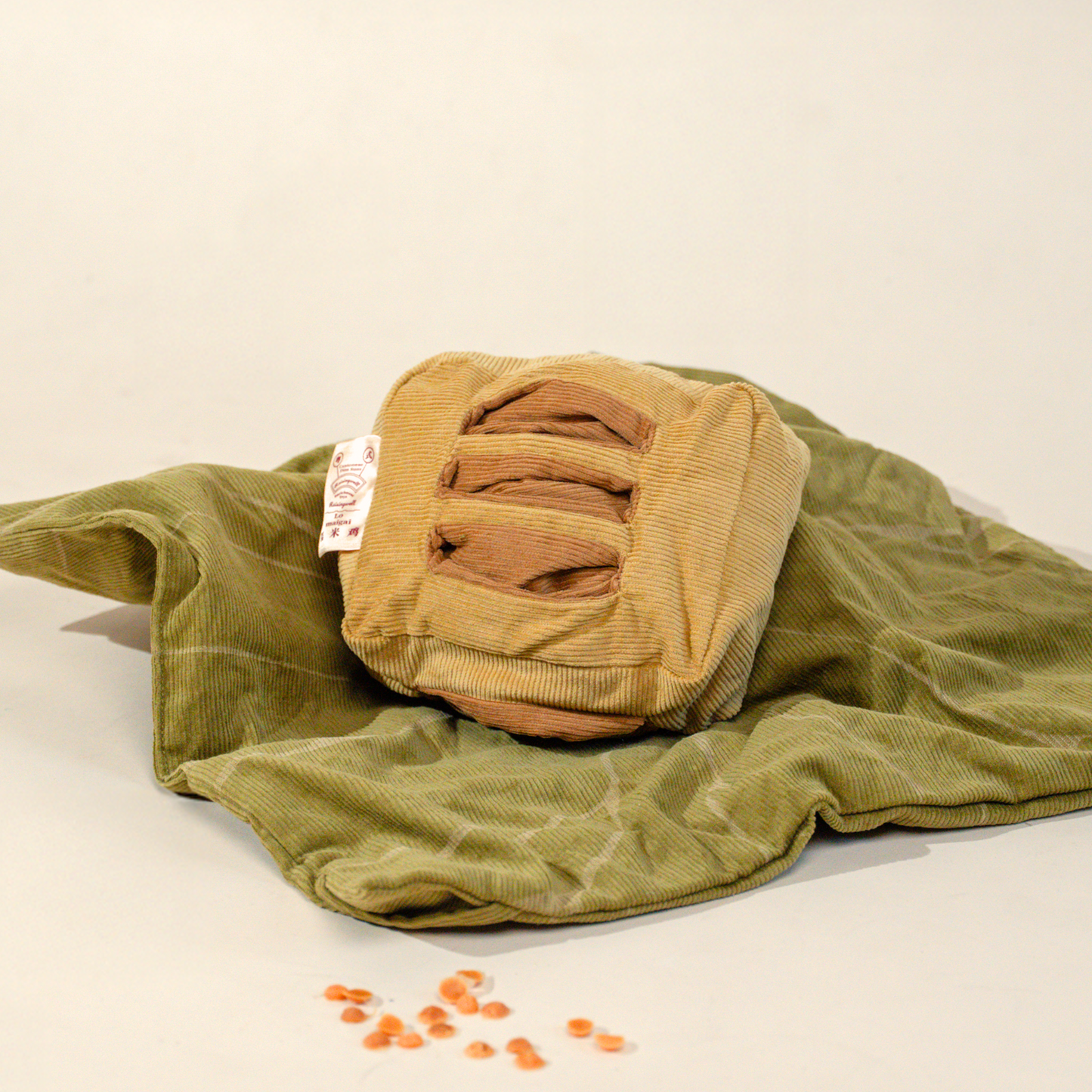 Glutinous Rice Chicken