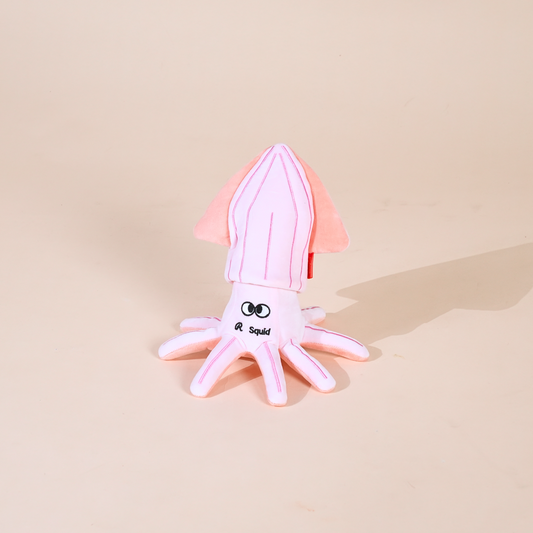 Squid